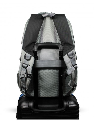 Morral18686